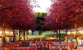 Imagem 7: Lote com 274m² no Jardins Parma - Senador Canedo - GO