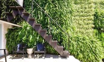 Imagem 5: Venha fazer uma visita, quem sabe a Penthouse escolhe você