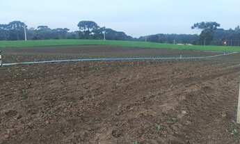 Imagem 3: Chácara - Inhaiva