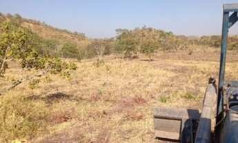 Imagem 7: Fazenda em Niquelândia de 140 alqueires