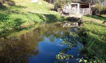 Imagem 6: Terreno 3 alqueires com nascente dentro