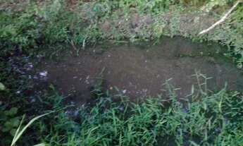 Imagem 3: Lindo Sitio - Pequi-MG - 3 Quartos ( 1 Suíte ) - Piscina - tendo 2465m² murado