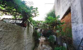 Imagem 2: São Paulo - Casa Padrão - Jardim Previdência