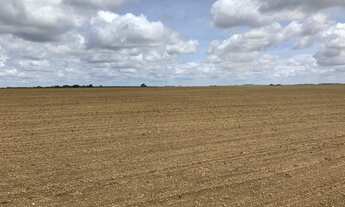 Imagem: Fazendas à venda em Goiás, Minas, Tocantins