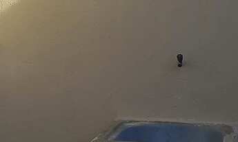 Imagem 3: Alugo casa Casa com 1 dormitório