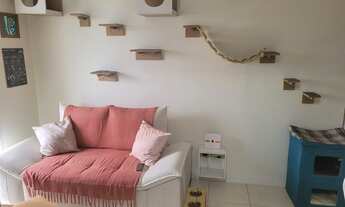 Imagem: Apartamento 02 Quartos c Suite Total Infra