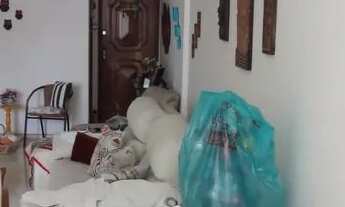 Imagem 10: RUA URUGUAI TIJUCA