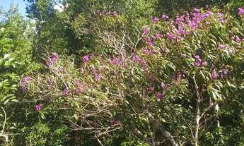 Imagem 5: Chácara completa