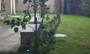 Imagem 6: Alugo apartamento 2 quartos