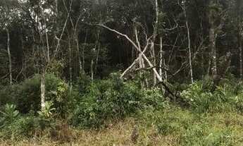 Imagem 3: Terreno na praia