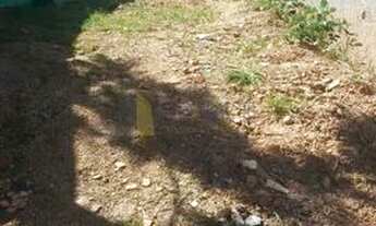 Imagem 2: Jundiaí - Terreno Padrão - Jardim Vale Verde