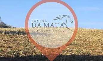 Imagem 5: 2,5 alqueires excelente para plantar e criar, 60 km de Goiania, leia a descrição!