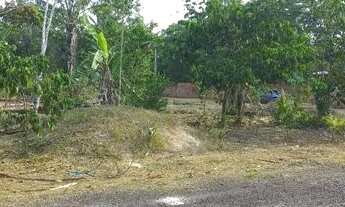 Imagem 6: Terreno Iranduba Caldeirão Algumas plantações. Tem água encanada Eletricidade L
