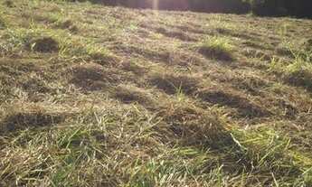 Imagem 7: Lote/Terreno para venda possui 600 metros quadrados em Centro - Mairiporã - SP