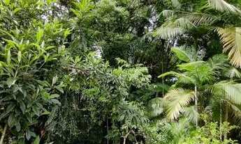 Imagem 5: Blumenau - Casa Padrão - Itoupava Central