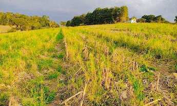 Imagem 3: Lote/Terreno para venda com 500 metros quadrados em Jardim Colonial - Atibaia - SP