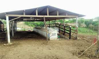 Imagem 7: Fazenda/Sítio Fazenda / sítio com venda por R$300.000