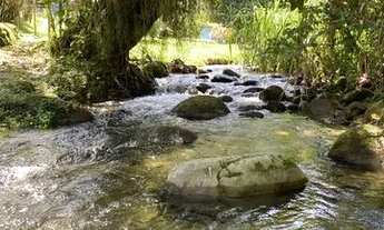 Imagem 3: Sítio 1.5 hectares todo plano com Rio encachoeirado privado verdadeiro paraíso!