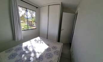 Imagem 5: Aluguel no mangueiral