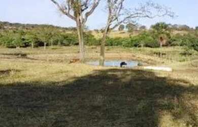 Imagem 7: CHACÁRA EM GUAPÓ COM 20.000 m²