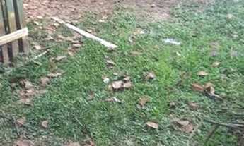 Imagem 6: Casa Vila Acre Casa com 2 dormitórios