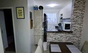 Imagem 4: Lindo Apartamento - Edificio Paradiso - Santa Terezinha