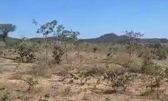 Imagem 7: Vende-se uma bela fazenda de 93 alqueires