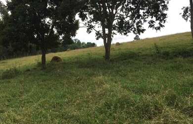 Imagem 7: Lotes com pagamento facilitado