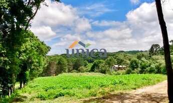 Imagem 3: Chácara - São Bento do Sul