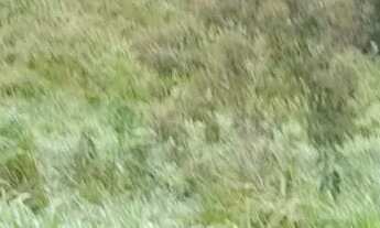 Imagem 6: Terreno próximo ao Cantinho da tilápia codigo: 85098