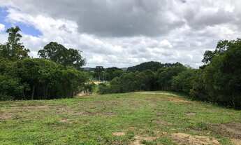 Imagem 5: Chácara com tanque de peixe