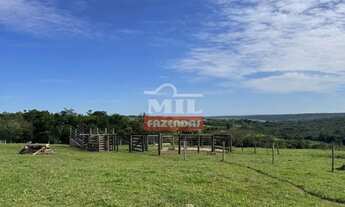 Imagem 7: Chácara de 15,5 alqueires (75 hectares) em Parauna - GO