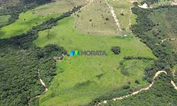 Imagem 7: FAZENDA À VENDA - 273 HECTARES - TRÊS MARIAS (MG