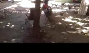 Imagem 3: Casa Casa com 4 dormitórios