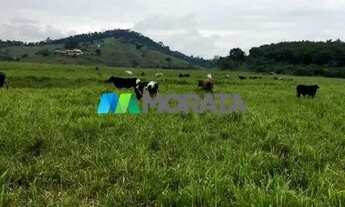 Imagem 3: FAZENDA À VENDA - 1.456 HECTARES - REGIÃO DE PONTE NOVA (MG