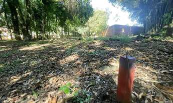 Imagem 6: Terreno São Virgílio Caxias do Sul