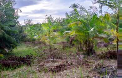 Imagem: Sítio 250/1000 $40.000 Manaquiri