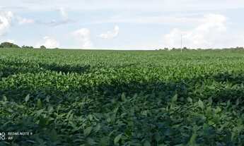 Imagem: Fazenda 189 alqueires em Doverlândia-GO