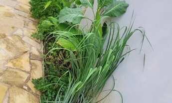 Imagem 5: Casa à venda com 3 quartos, no Parque Portugal!