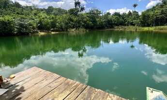 Imagem 7: Fazenda a venda, Próximo a Palmas-TO, Oportunidade
