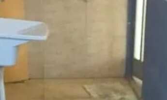 Imagem 5: CASA 3 QUARTOS JARDIM CANADA