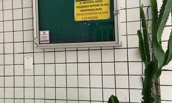 Imagem 5: Alugo Apartamento Amplo Edf. Júlio Domingos