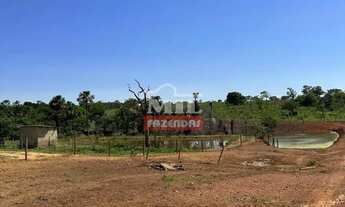 Imagem 2: Fazenda 40 alqueires (193 hectares) Cachoeira de Goias - GO