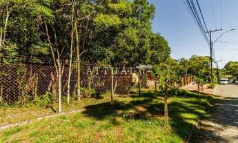 Imagem 4: EXCELENTE TERRENO EM BAIRRO NOBRE DE CANELA