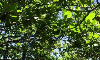 Imagem 5: Casa Temporada Pontal do Sul - Balneário Atami Vila Nova