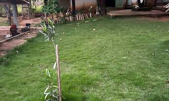 Imagem 4: Vendo ou troco chácara próximo a Lagoinha