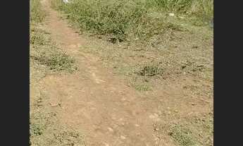 Imagem 4: Lote Guarapari, entrada R$ 5.000 + parcelas de R$ 2.000/mês, SOMENTE ESCRITURADO, TROCO