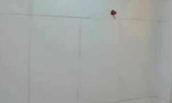 Imagem 4: 1052 Excelente casa duplex no Laranjal São Gonçalo