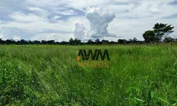 Imagem 5: Fazenda à venda, 275880 HA por R$ 9.000.000 - Zona Rural - Jussara/GO