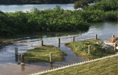 Imagem 4: Casa beira rio/mar em Barra de Jacuipe